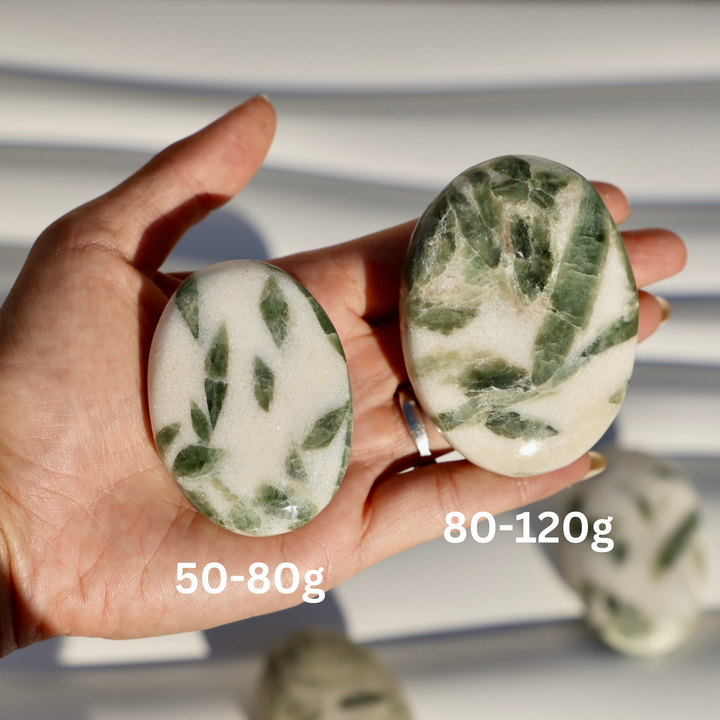 Actinolite in Dolomite Palm Stone