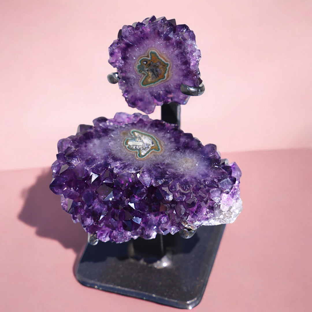 'Aloha' Amethyst Rosetta with Stalactite Pair on Stand - Enchantia Muse