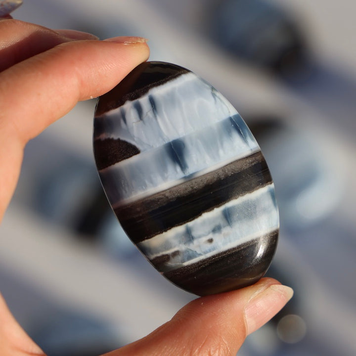 Blue Owyhee Opal Palm Stone