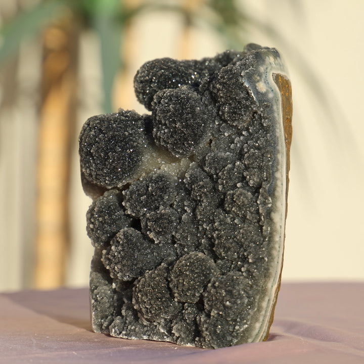 Sugar Druzy Black Amethyst with Bubble Formations - Enchantia Muse