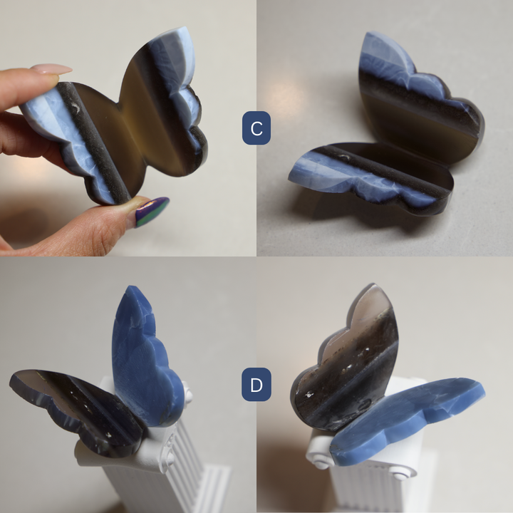 Blue Owyhee Opal Butterfly