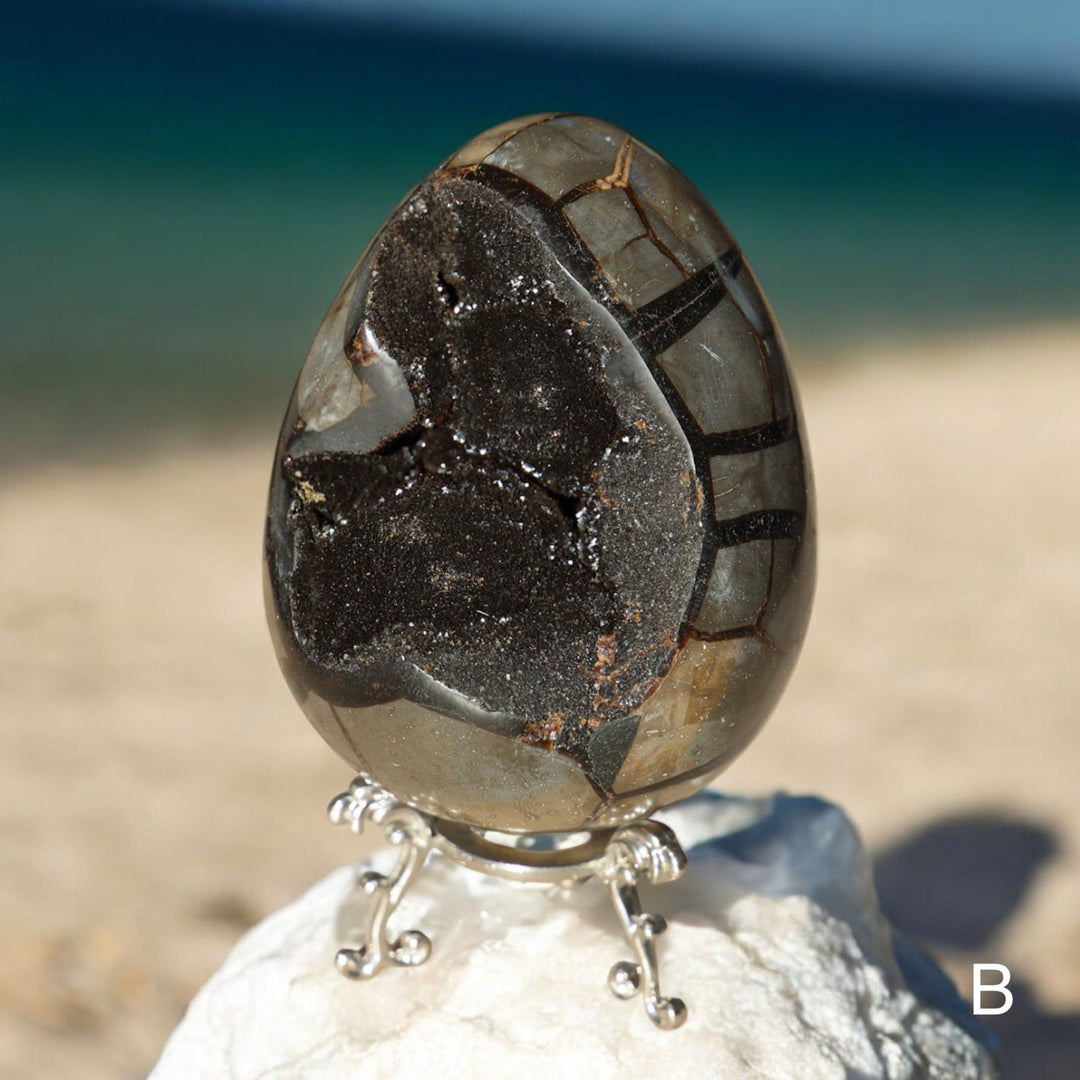 'Drakon' Druzy Septarian Egg - Enchantia Muse