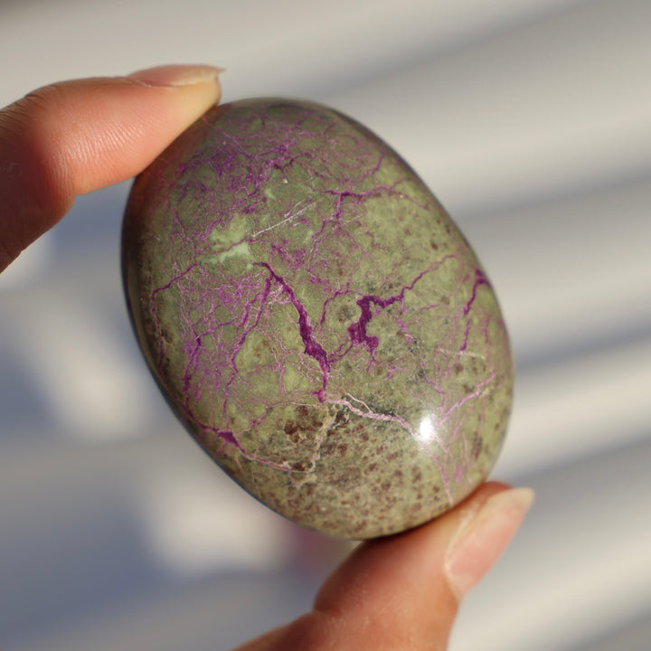 Atlantisite Stichtite Palm Stone