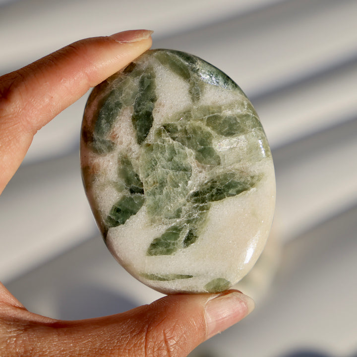 Actinolite in Dolomite Palm Stone