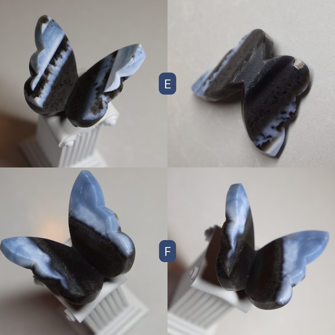 Blue Owyhee Opal Butterfly