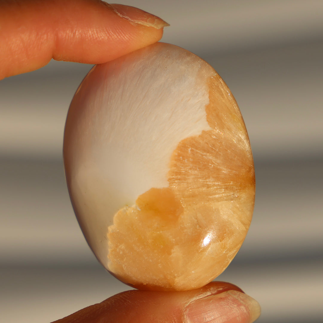 Stillbite Solecite Palm Stone