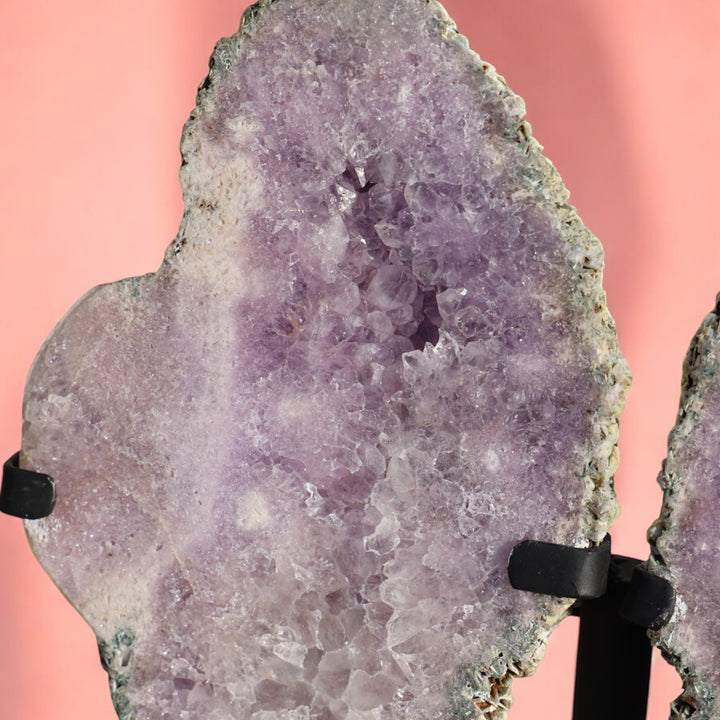 Druzy Amethyst Crystal Pair of Wings on Stand