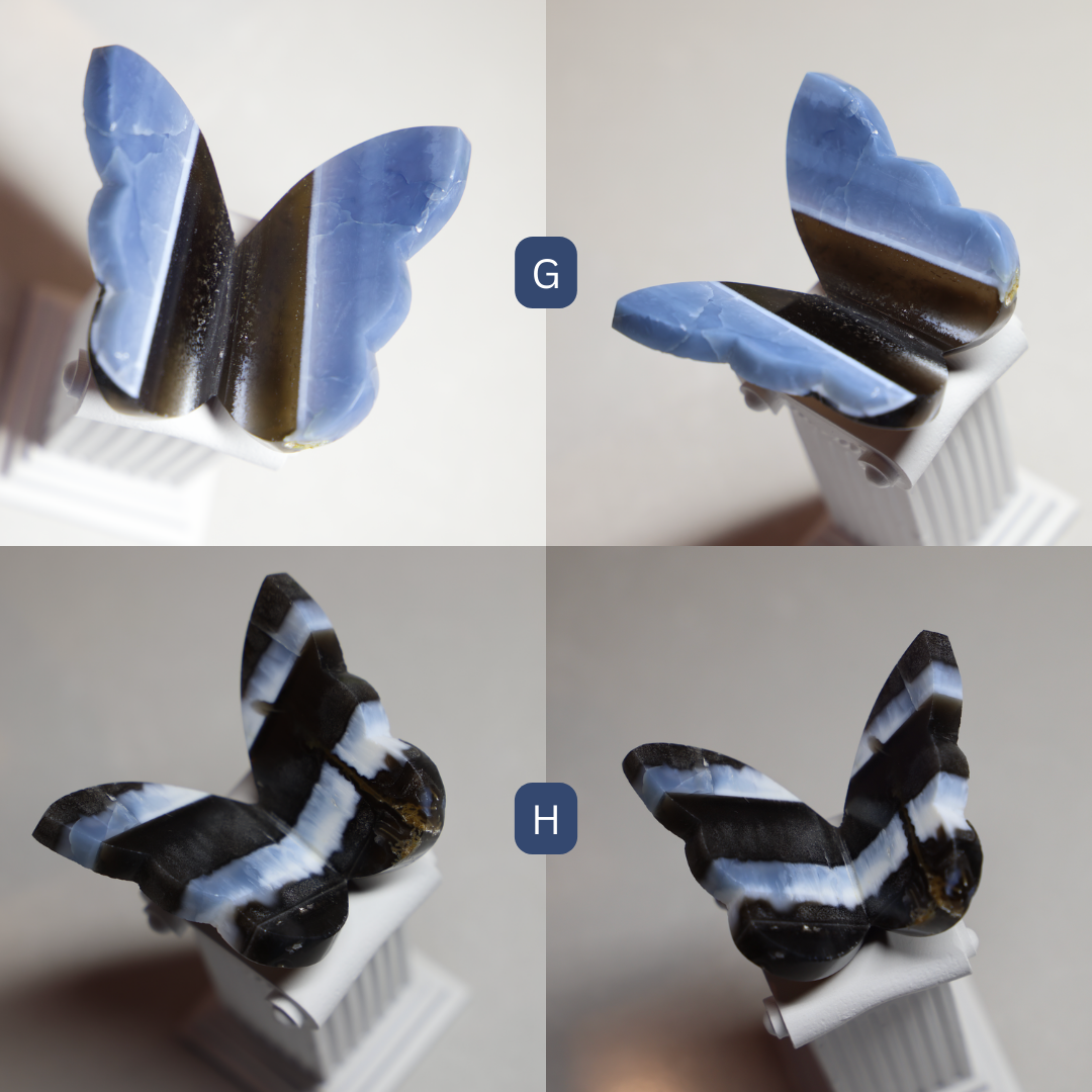 Blue Owyhee Opal Butterfly