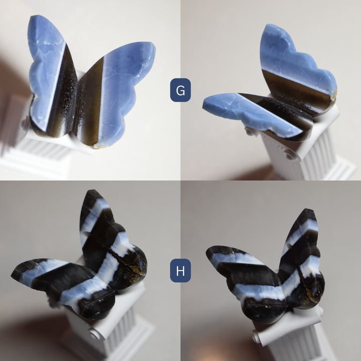 Blue Owyhee Opal Butterfly