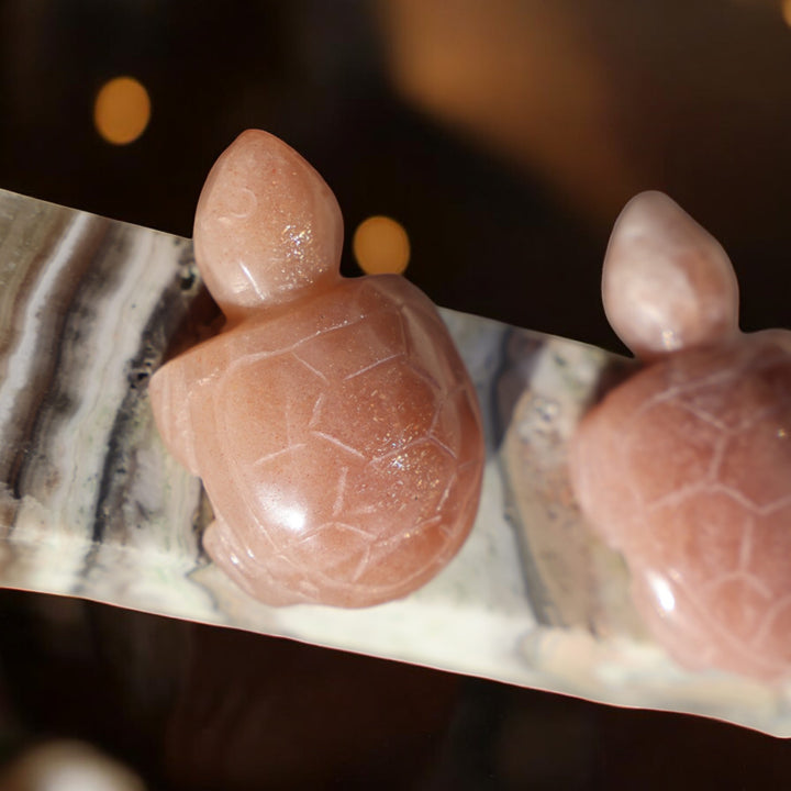 Sunstone Turtle