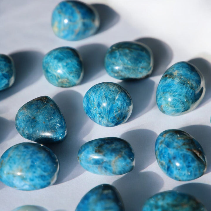 Blue Apatite Tumble Stone - Enchantia Muse