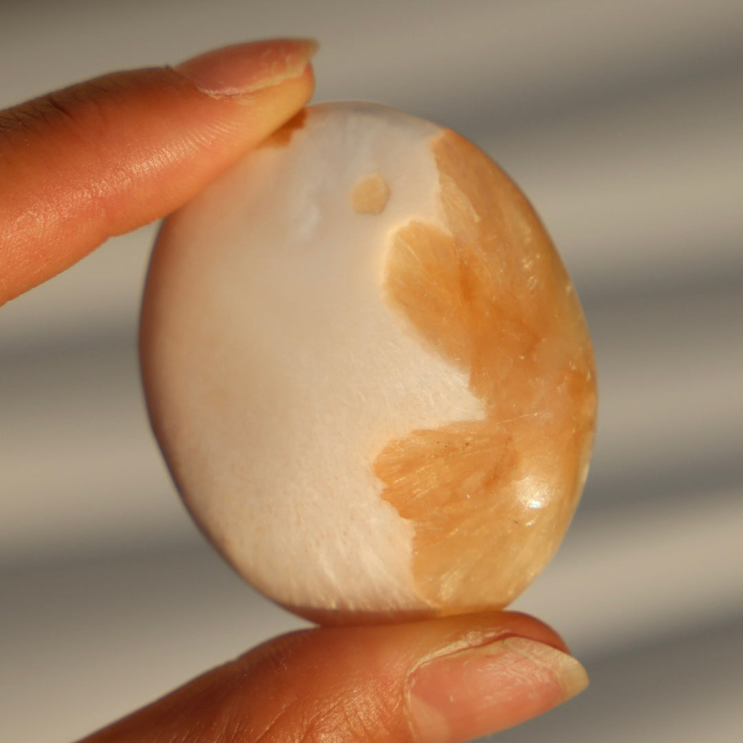 Stillbite Solecite Palm Stone