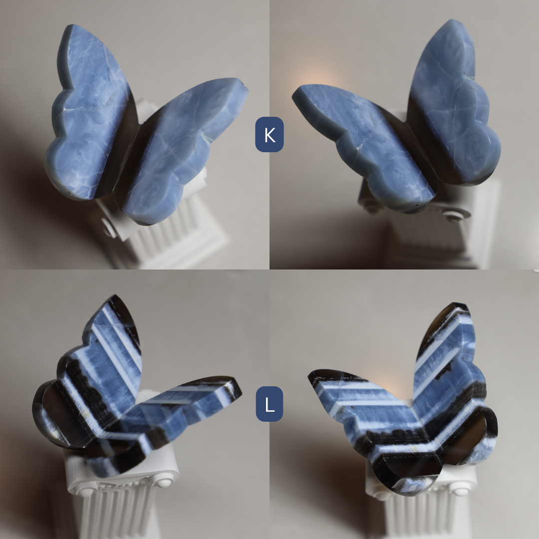 Blue Owyhee Opal Butterfly