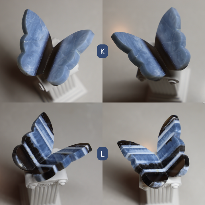 Blue Owyhee Opal Butterfly