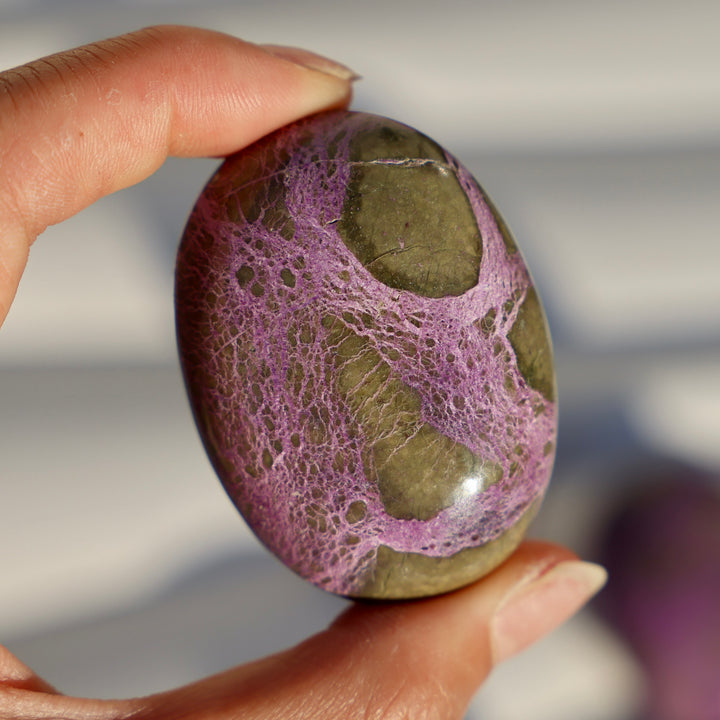 Atlantisite Stichtite Palm Stone