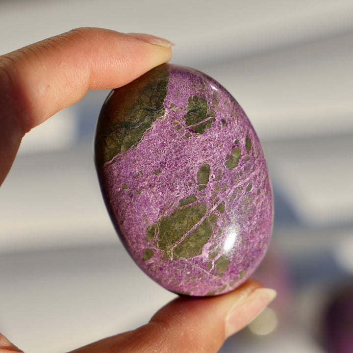 Atlantisite Stichtite Palm Stone