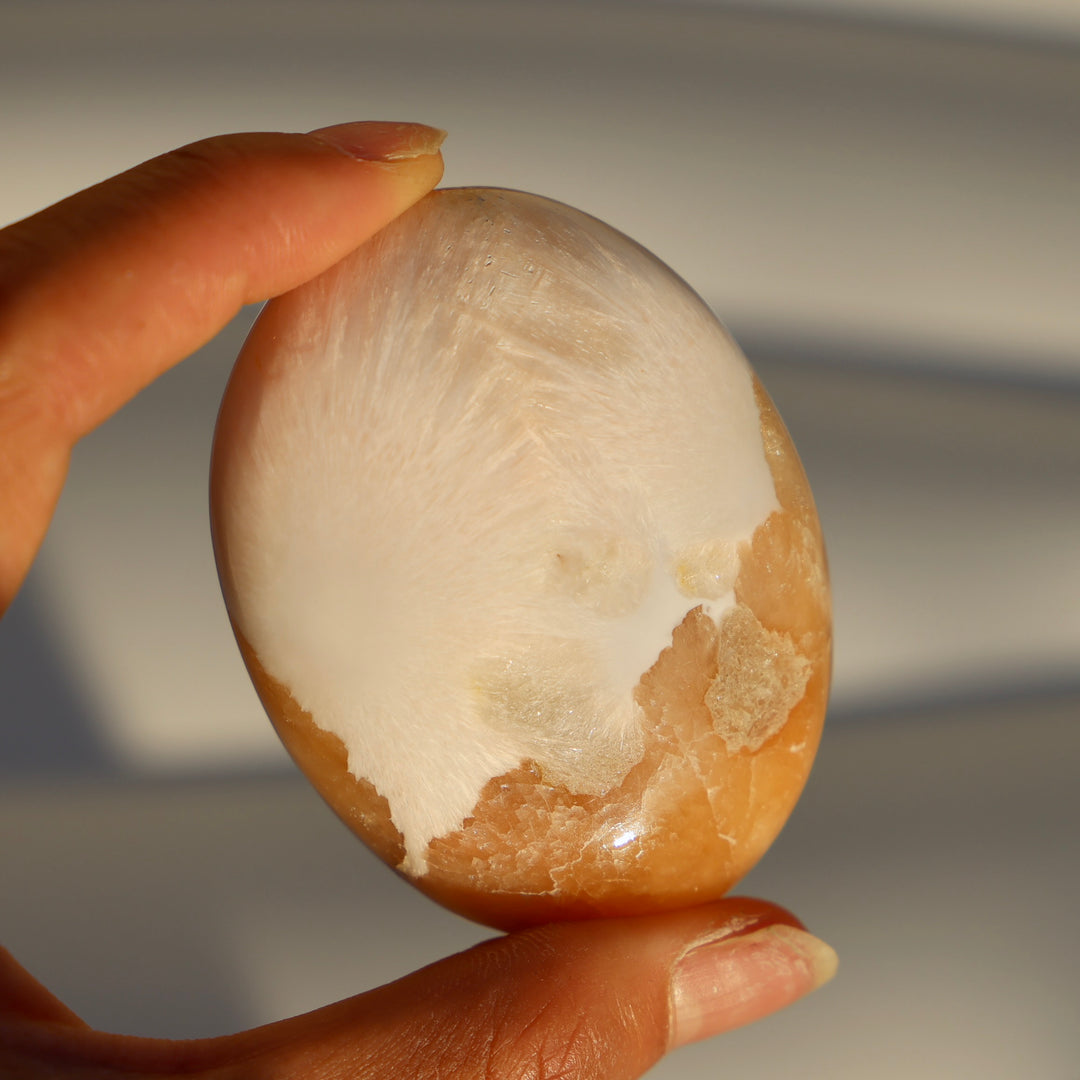 Stillbite Solecite Palm Stone