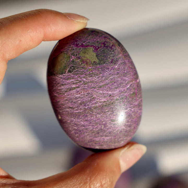 Atlantisite Stichtite Palm Stone