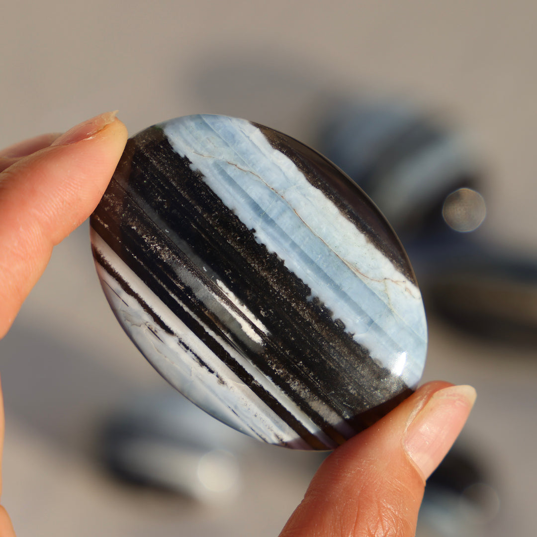 Blue Owyhee Opal Palm Stone
