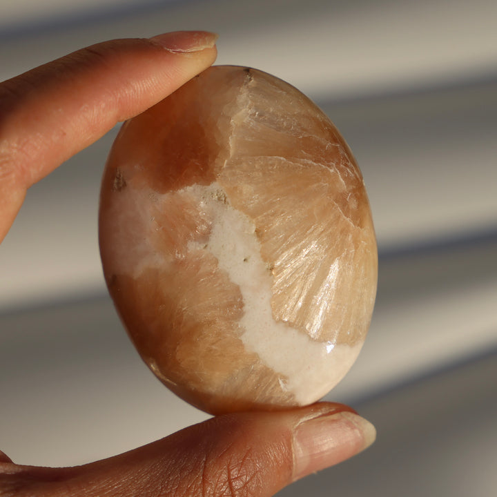 Stillbite Solecite Palm Stone