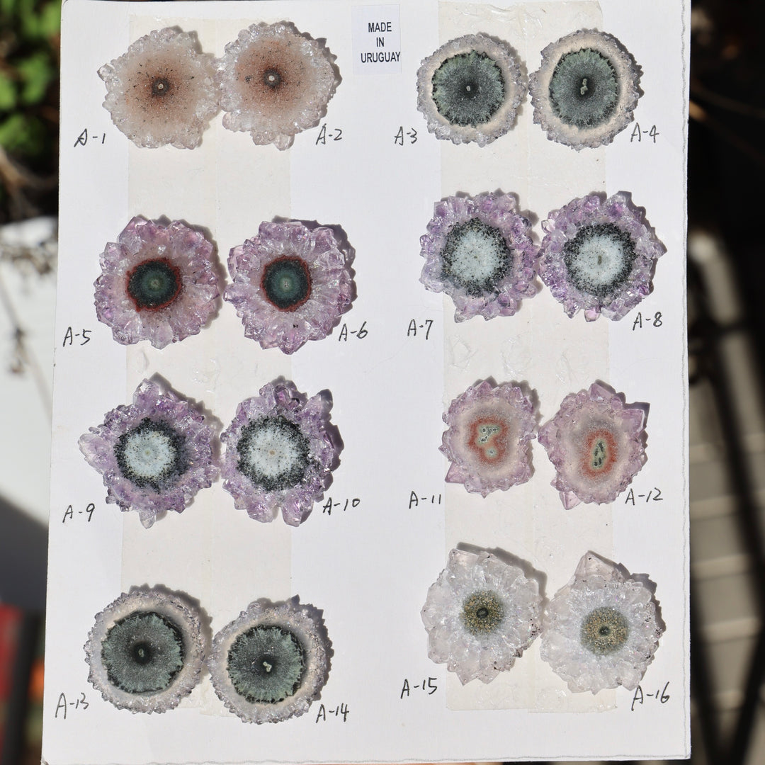 Stalactite Slice - Singles and Pairs
