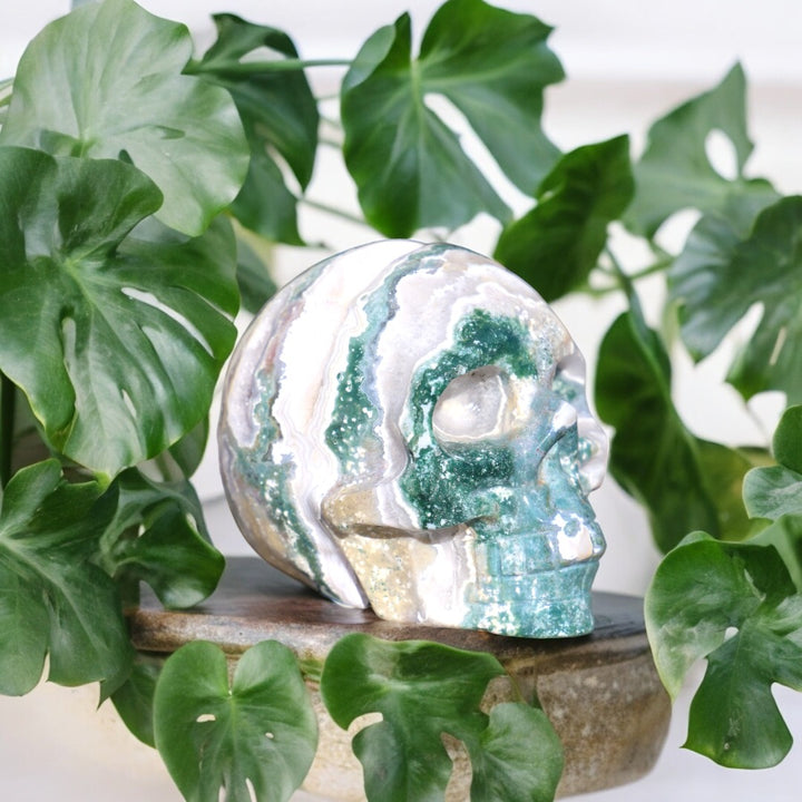 'EDEN' Druzy Ocean Japer Skull - Handcarved - Enchantia Muse