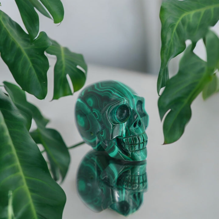 'CLORIS' Hand-carved Malachite Skull - Enchantia Muse