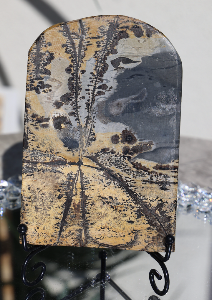 Scenic Picture Jasper Slab - Enchantia Muse