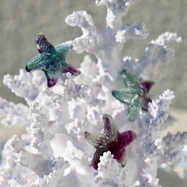 Hand-carved  Rainbow Fluorite Star Fish - Enchantia Muse