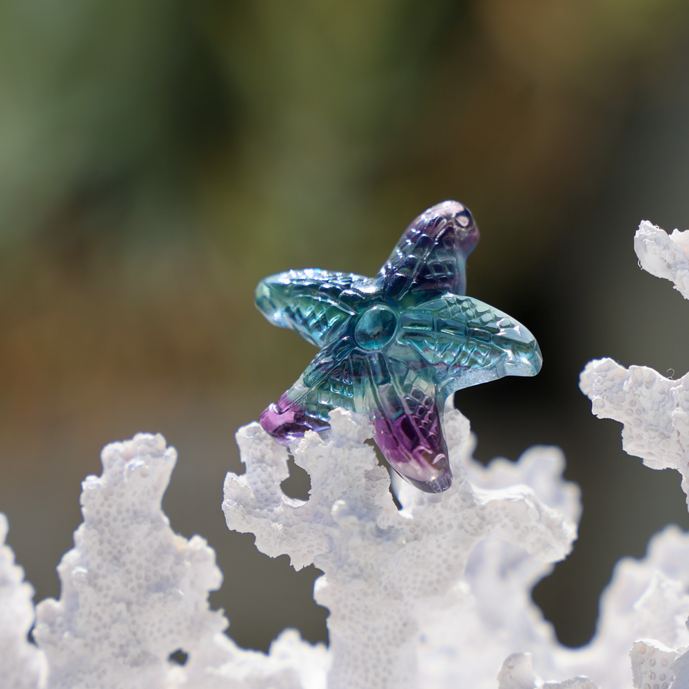 Hand-carved  Rainbow Fluorite Star Fish - Enchantia Muse