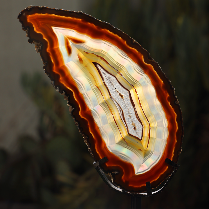 'CANDLELIGHT' Red Agate Slice on Stand - Enchantia Muse