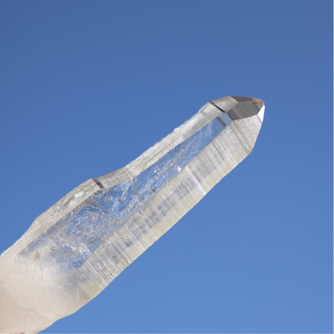 Raw Clear Lemurian Point - Enchantia Muse