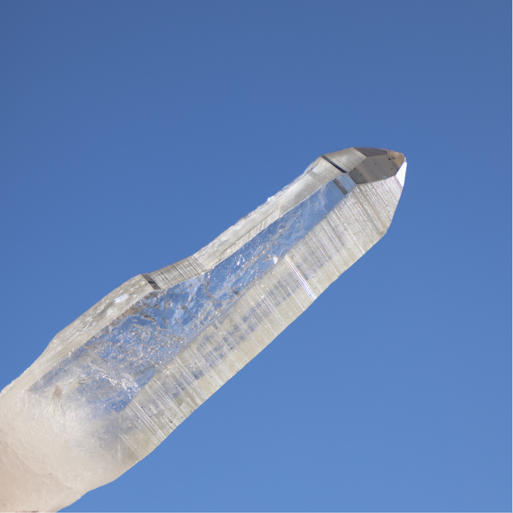 Raw Clear Lemurian Point - Enchantia Muse