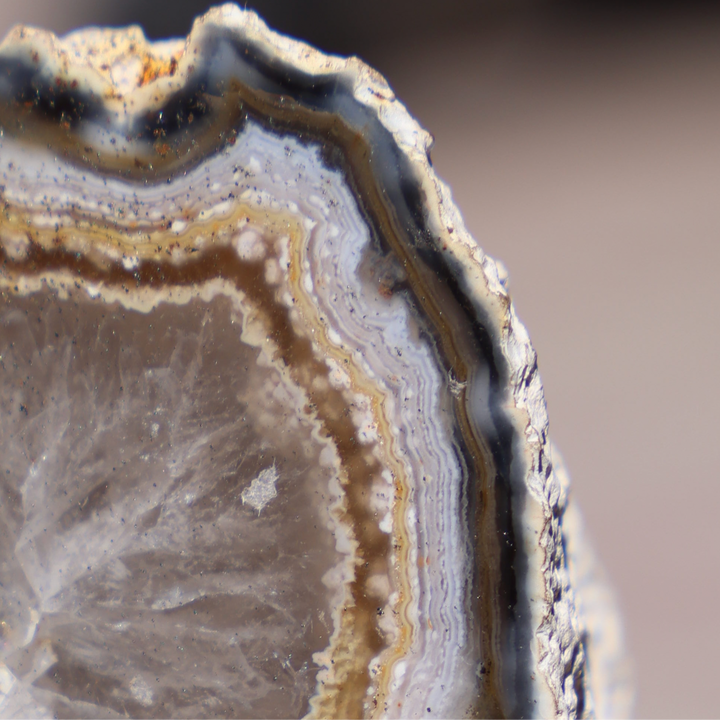 'Sugarlace' Agate Geode with Stand - Enchantia Muse