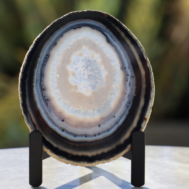 'Universe' Agate Slice with Stand - Enchantia Muse