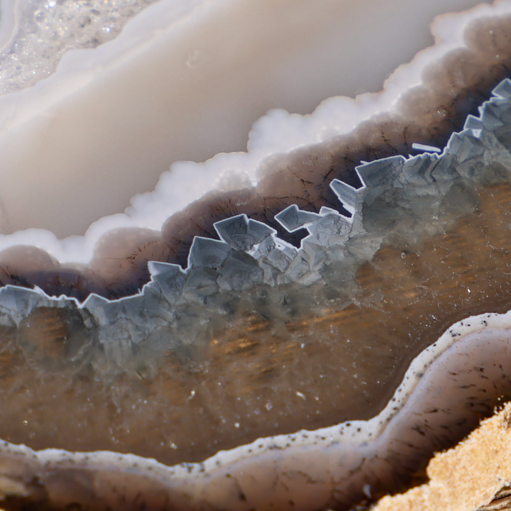 'Kelp Forest' Agate Slices with Stand - Enchantia Muse