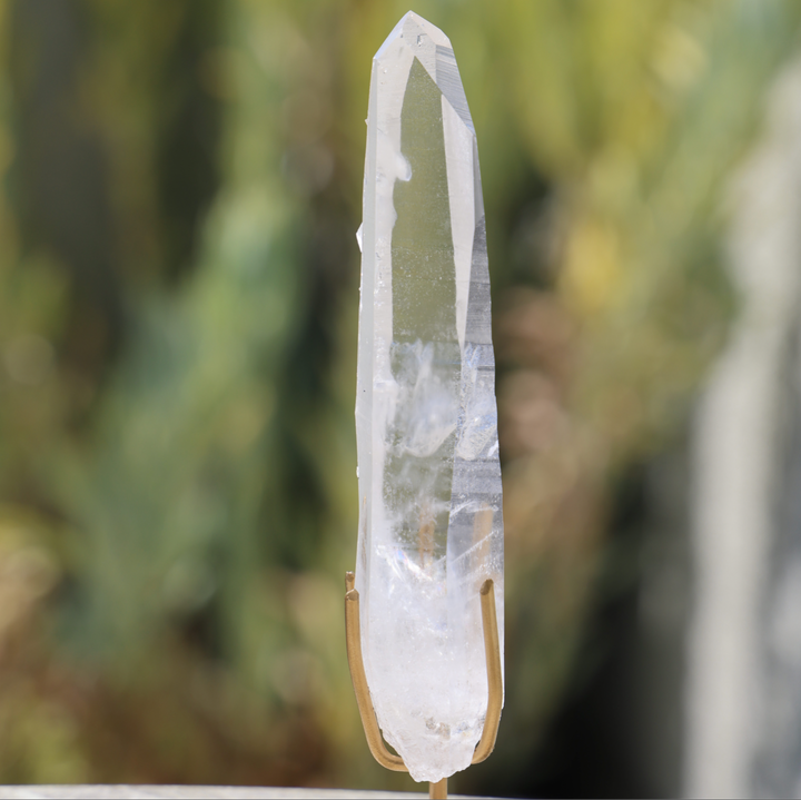 Clear Lemurian Quartz Point on Stand - Enchantia Muse