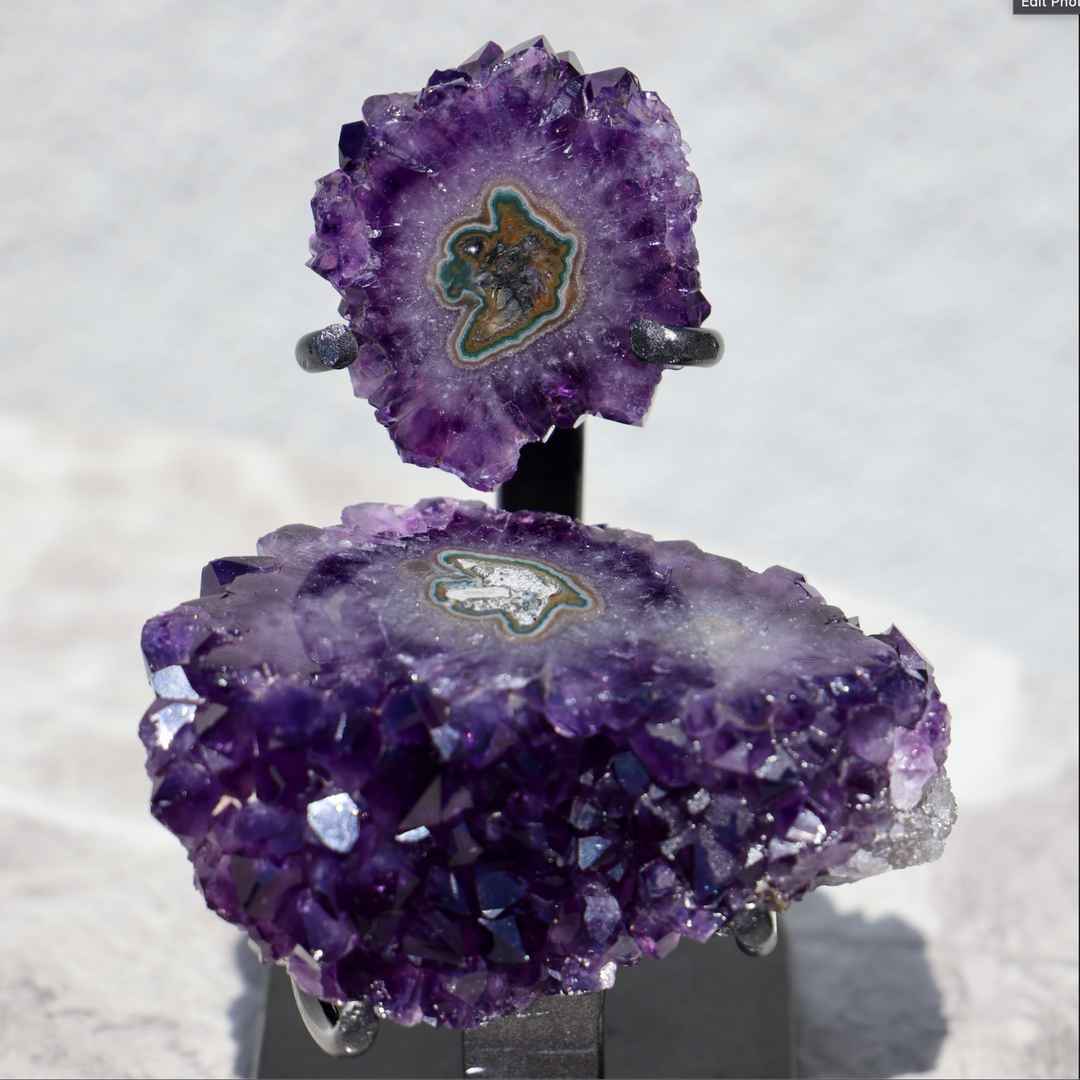 'Aloha' Amethyst Rosetta with Stalactite Pair on Stand - Enchantia Muse