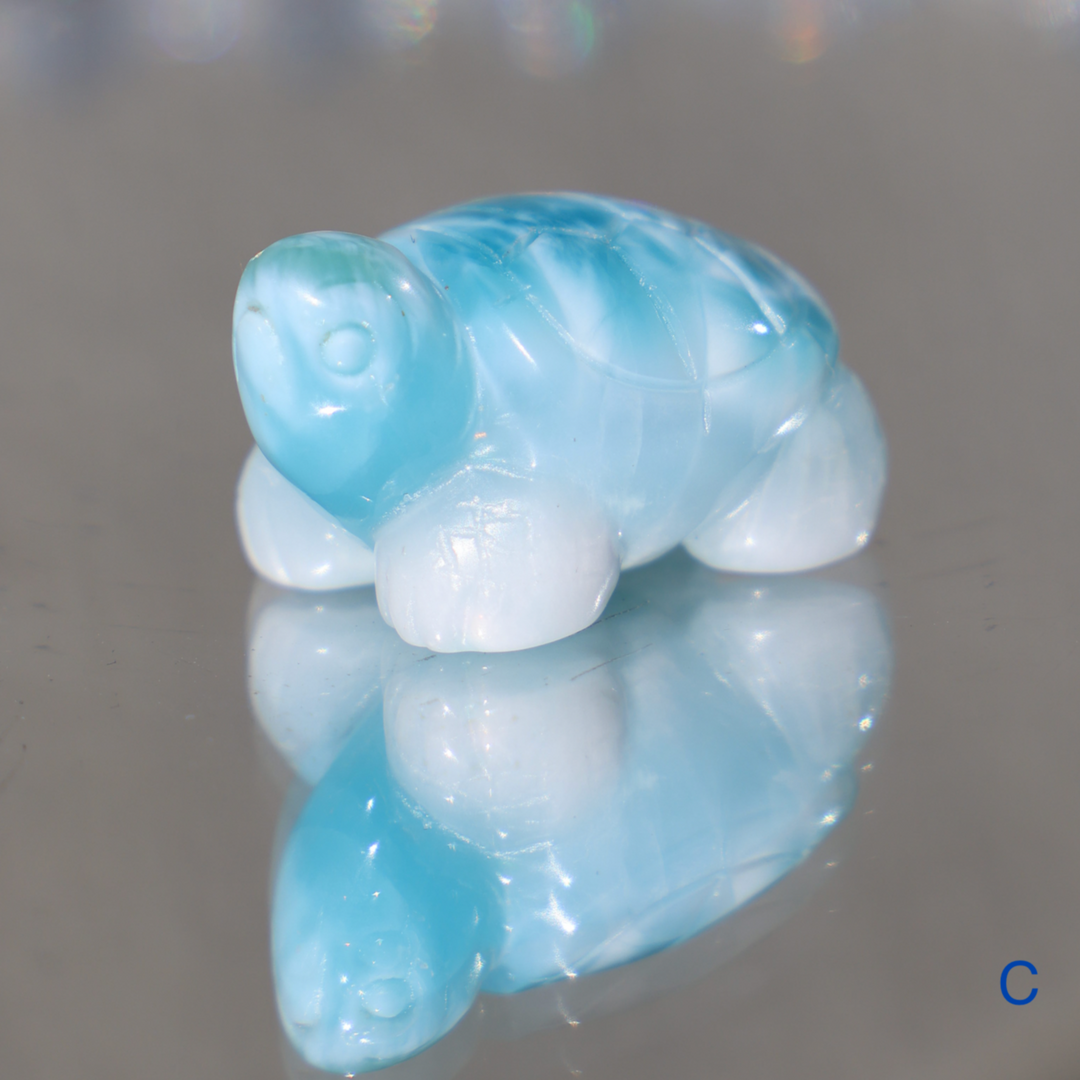 High Quality Larimar Turtle - Enchantia Muse