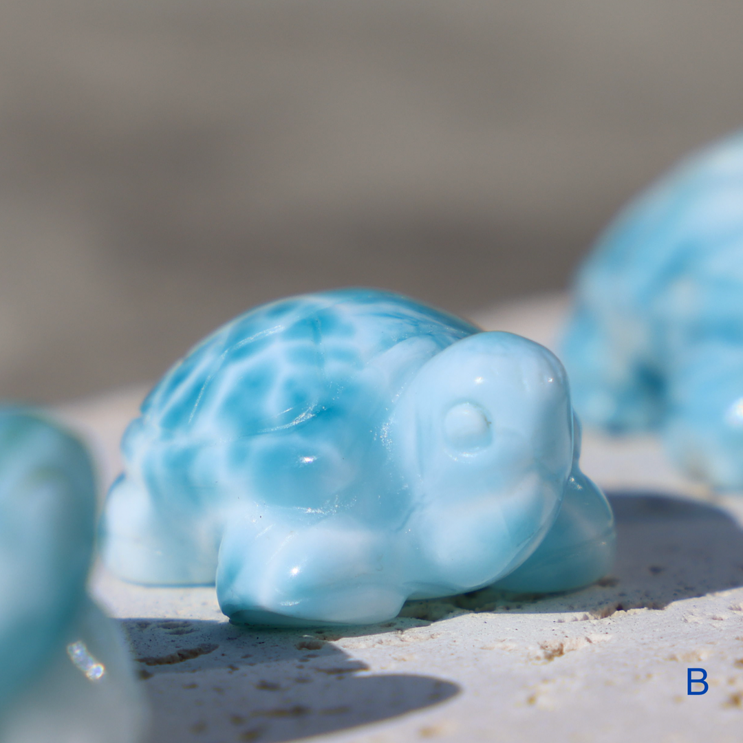 High Quality Larimar Turtle - Enchantia Muse