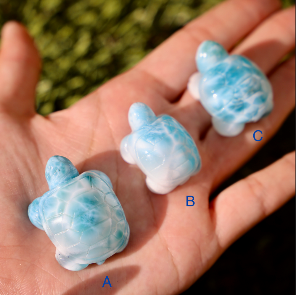 High Quality Larimar Turtle - Enchantia Muse