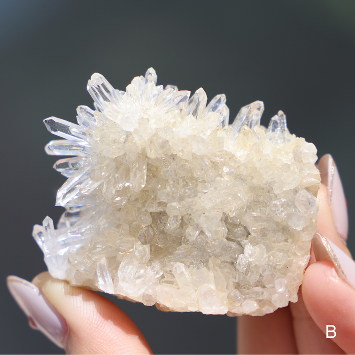 Raw Chrysanthemum Quartz Cluster - Enchantia Muse