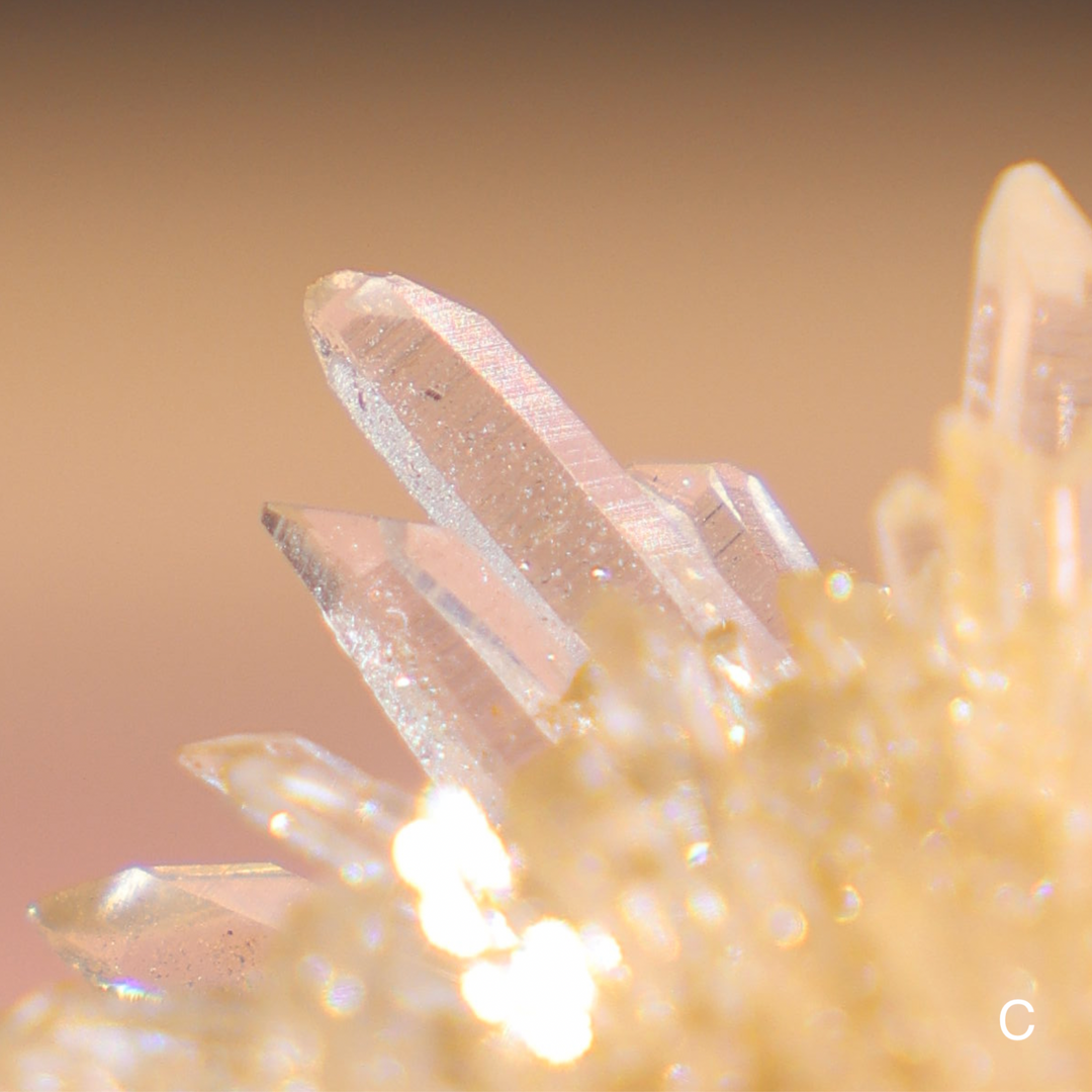 Raw Chrysanthemum Quartz Cluster - Enchantia Muse