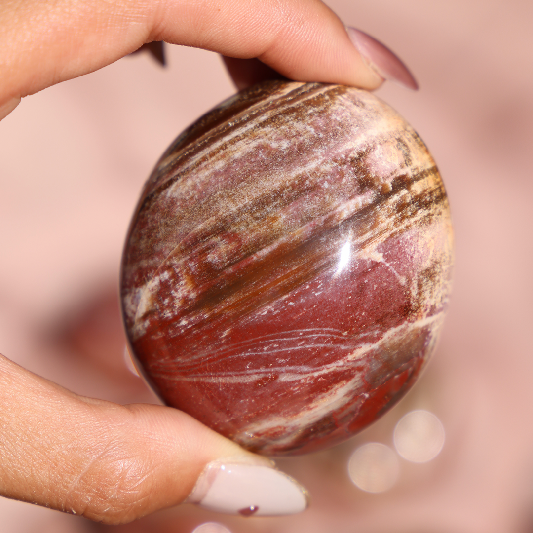 Petrified Wood Palm Stone - Enchantia Muse