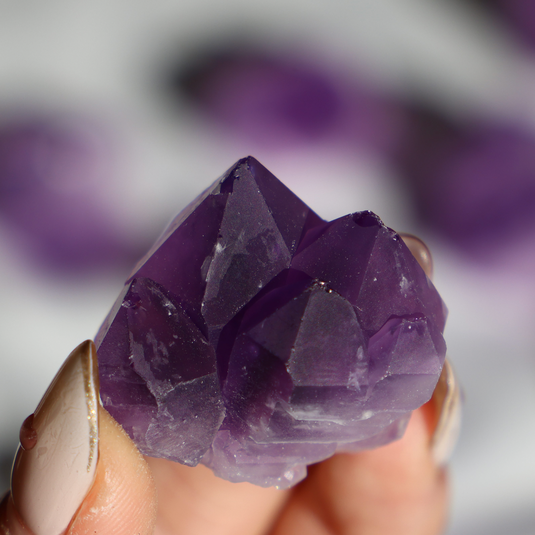 Amethyst Flower Mini Cluster - Enchantia Muse