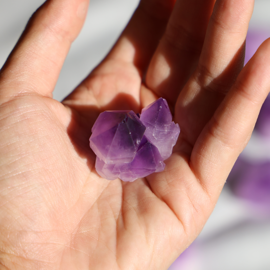 Amethyst Flower Mini Cluster - Enchantia Muse