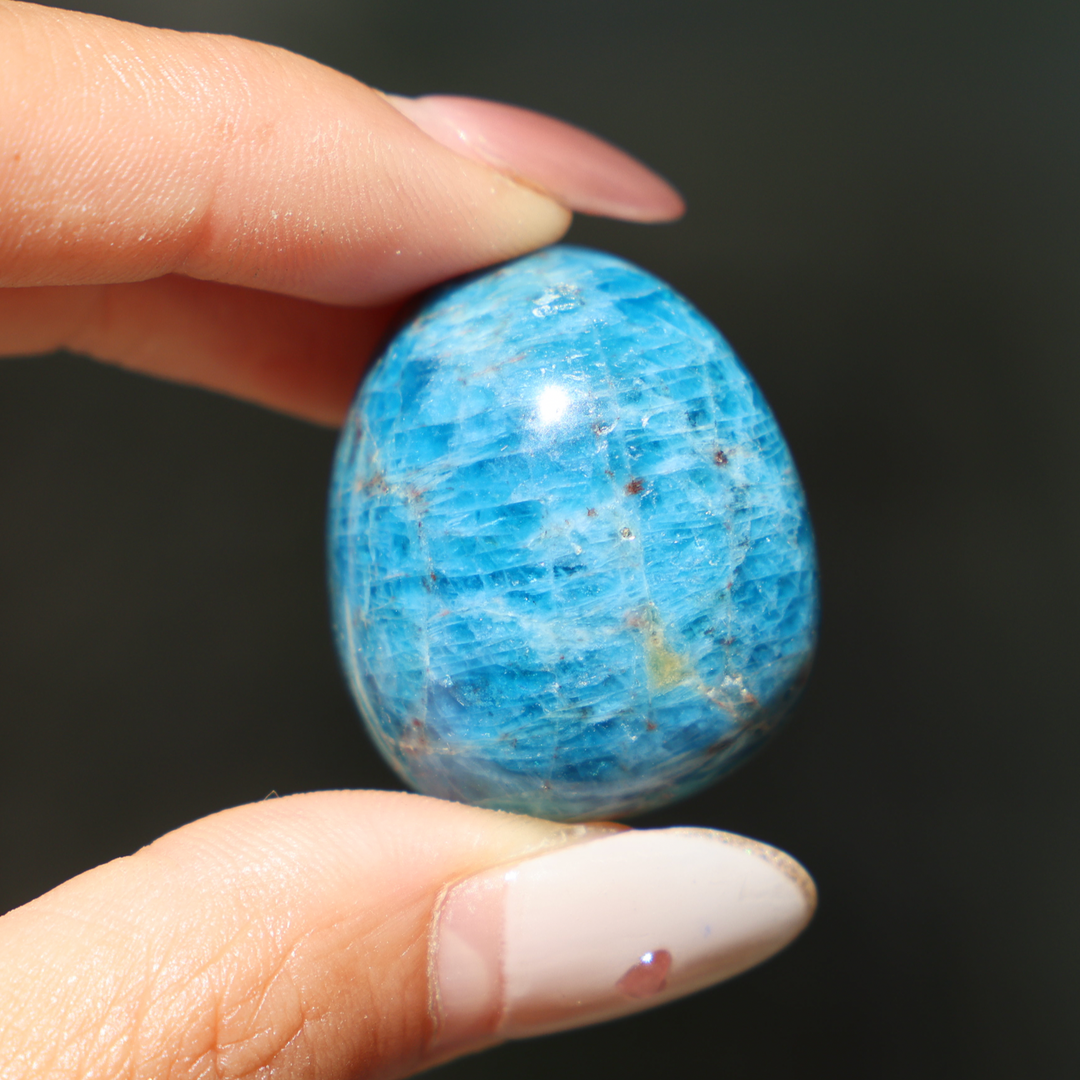 Blue Apatite Tumble Stone - Enchantia Muse