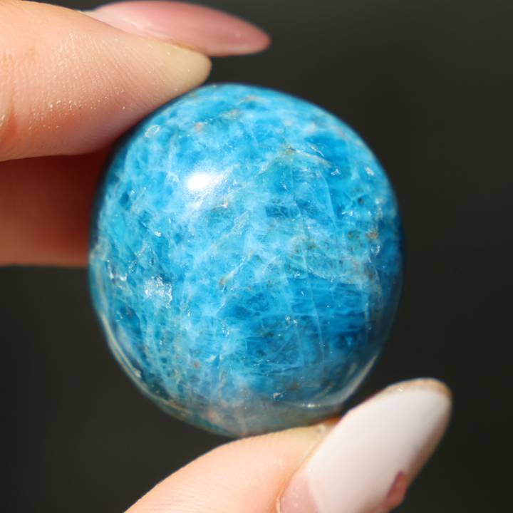 Blue Apatite Tumble Stone - Enchantia Muse