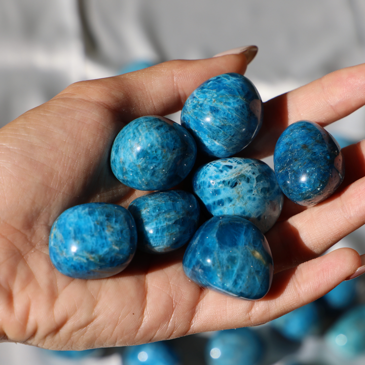 Blue Apatite Tumble Stone - Enchantia Muse