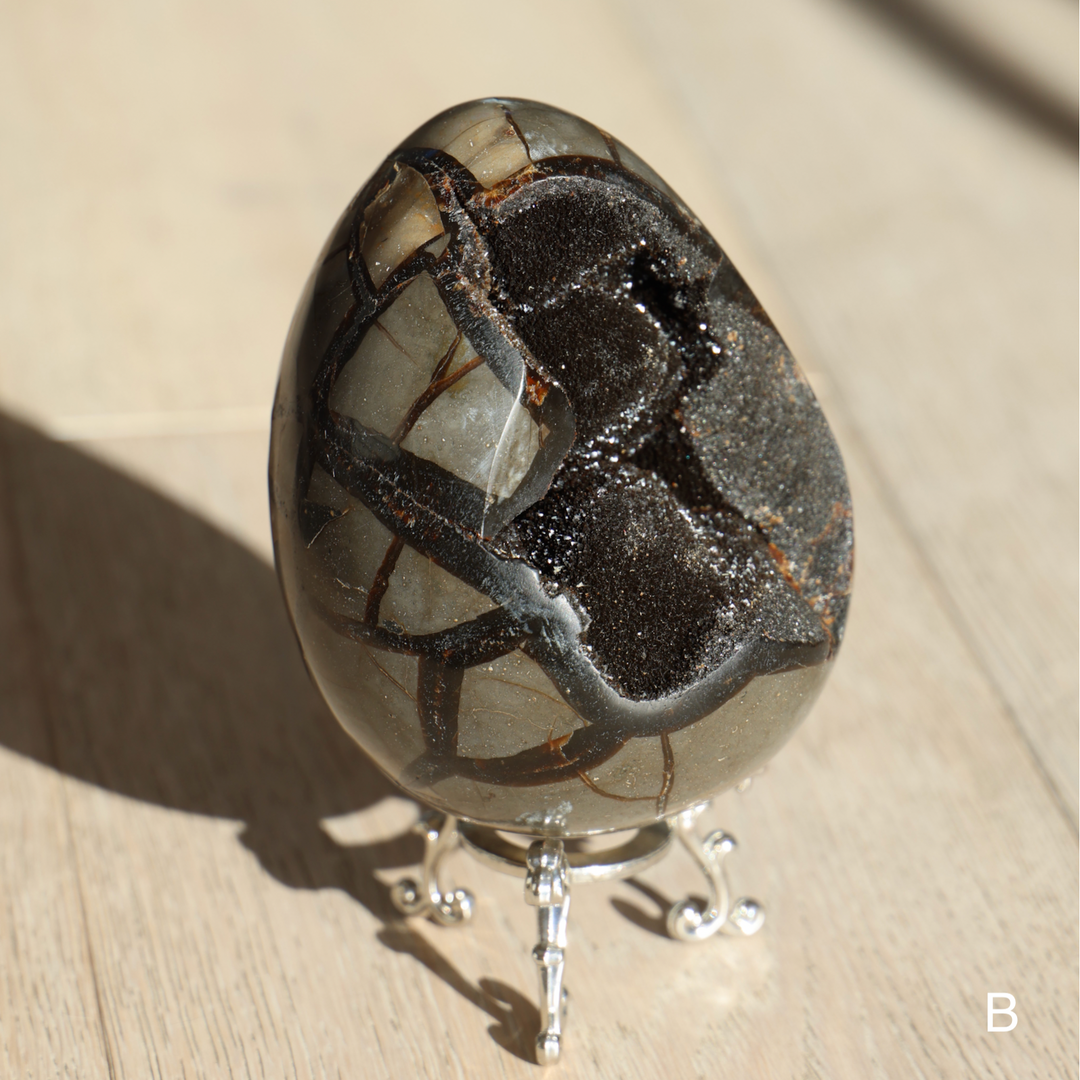 'Drakon' Druzy Septarian Egg - Enchantia Muse